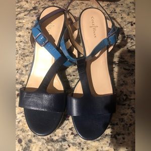 Cole Haan Blue Wedge Sandals